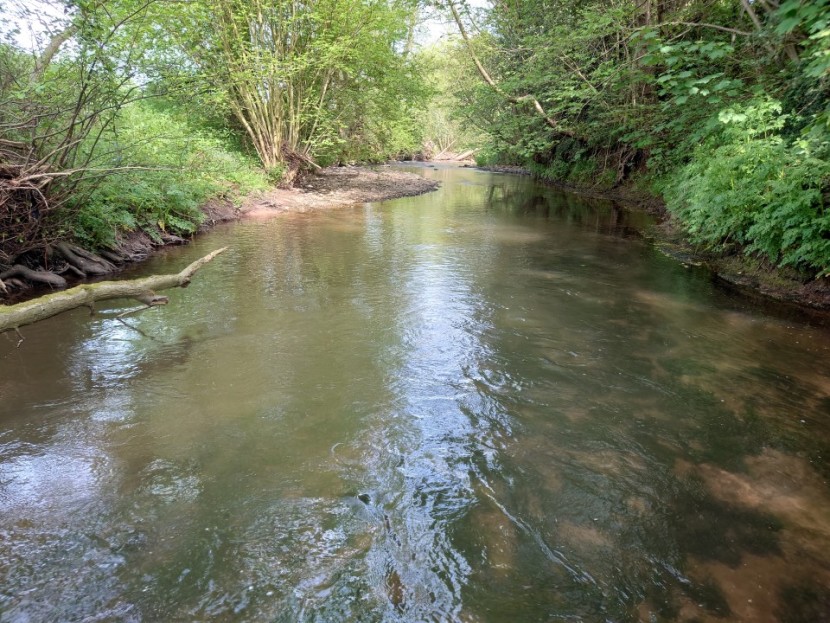 Llynfi Dulas - BP from Pembridge
